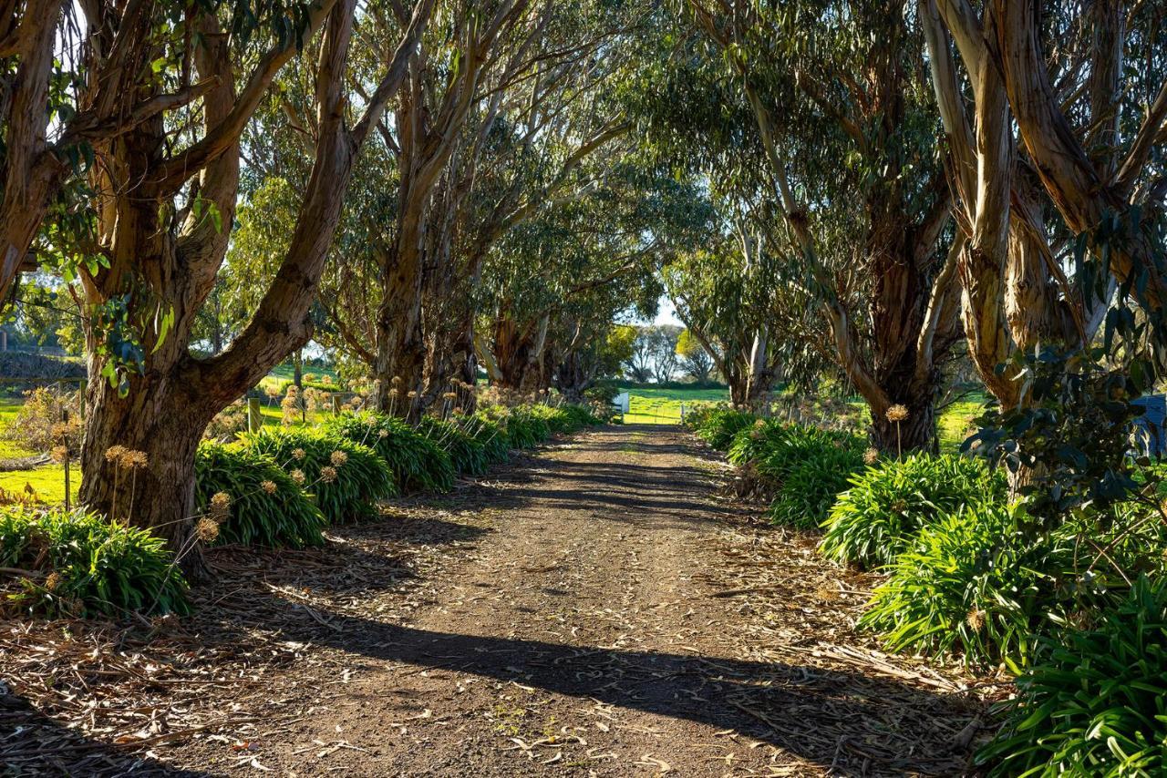 Ferienwohnung Harmony At Tower Hill Koroit Exterior foto