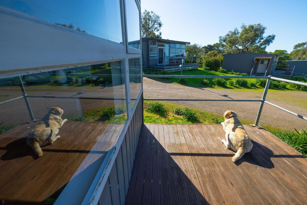 Ferienwohnung Harmony At Tower Hill Koroit Exterior foto